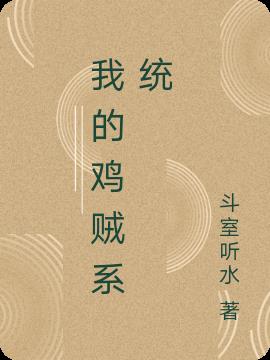 我的鸡贼系统