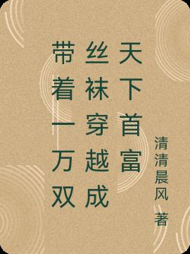 带着一万双丝袜穿越成天下首富