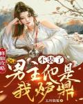 修仙攻略:不装了,男主他是我炉鼎!