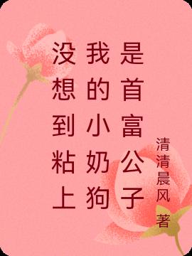没想到粘上我的小奶狗是首富公子