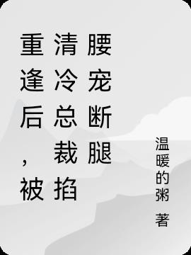 重逢后,被清冷总裁掐腰宠断腿