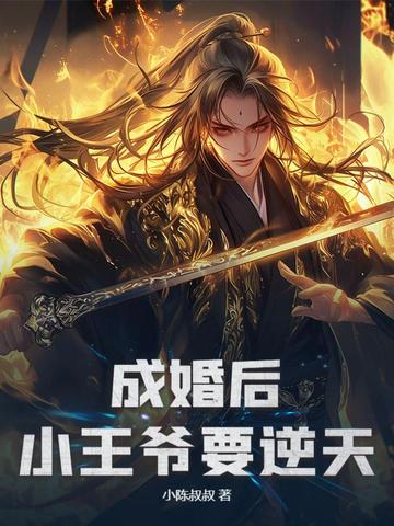 成婚后,小王爷要逆天